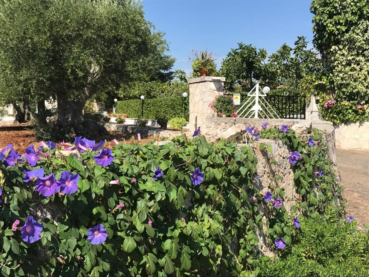 Il Trullo Di Nonno Angelo San Marco Locorotondo Exterior foto