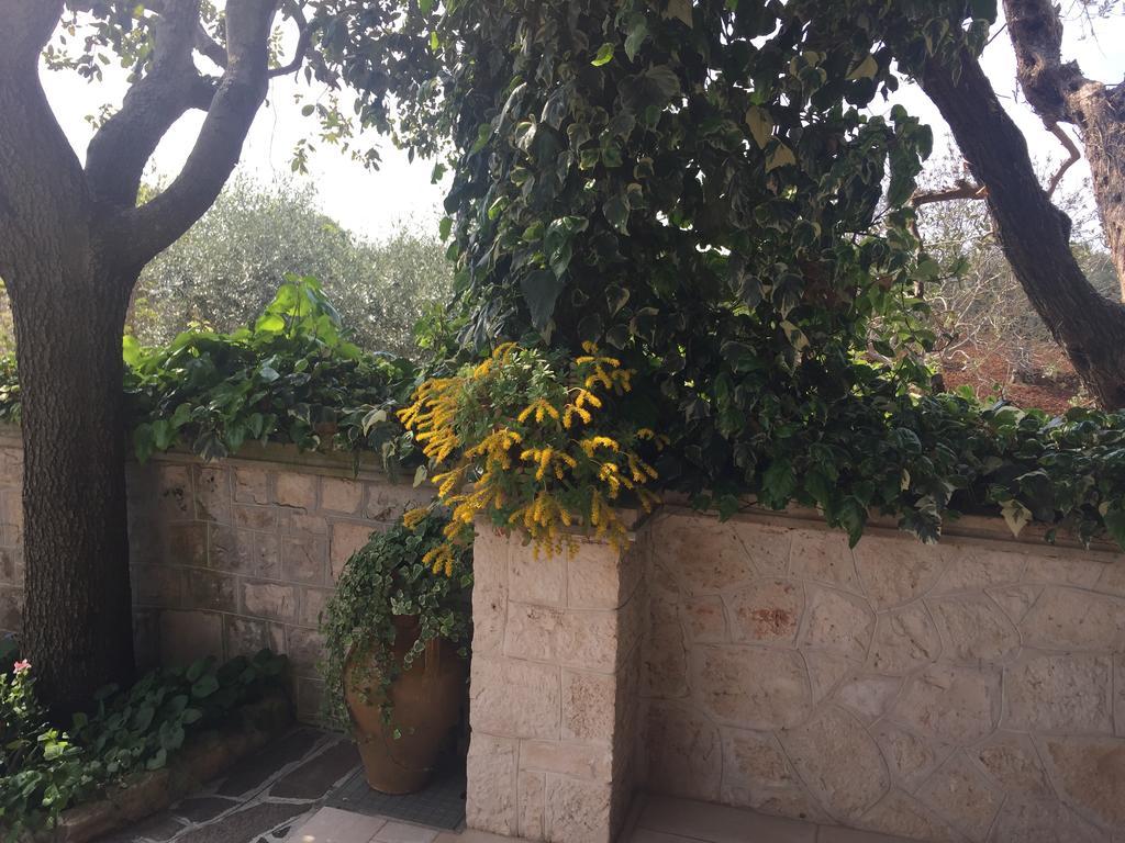 Il Trullo Di Nonno Angelo San Marco Locorotondo Exterior foto