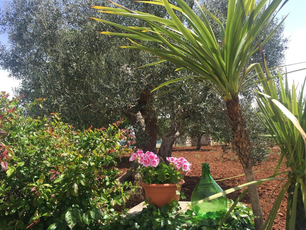 Il Trullo Di Nonno Angelo San Marco Locorotondo Exterior foto