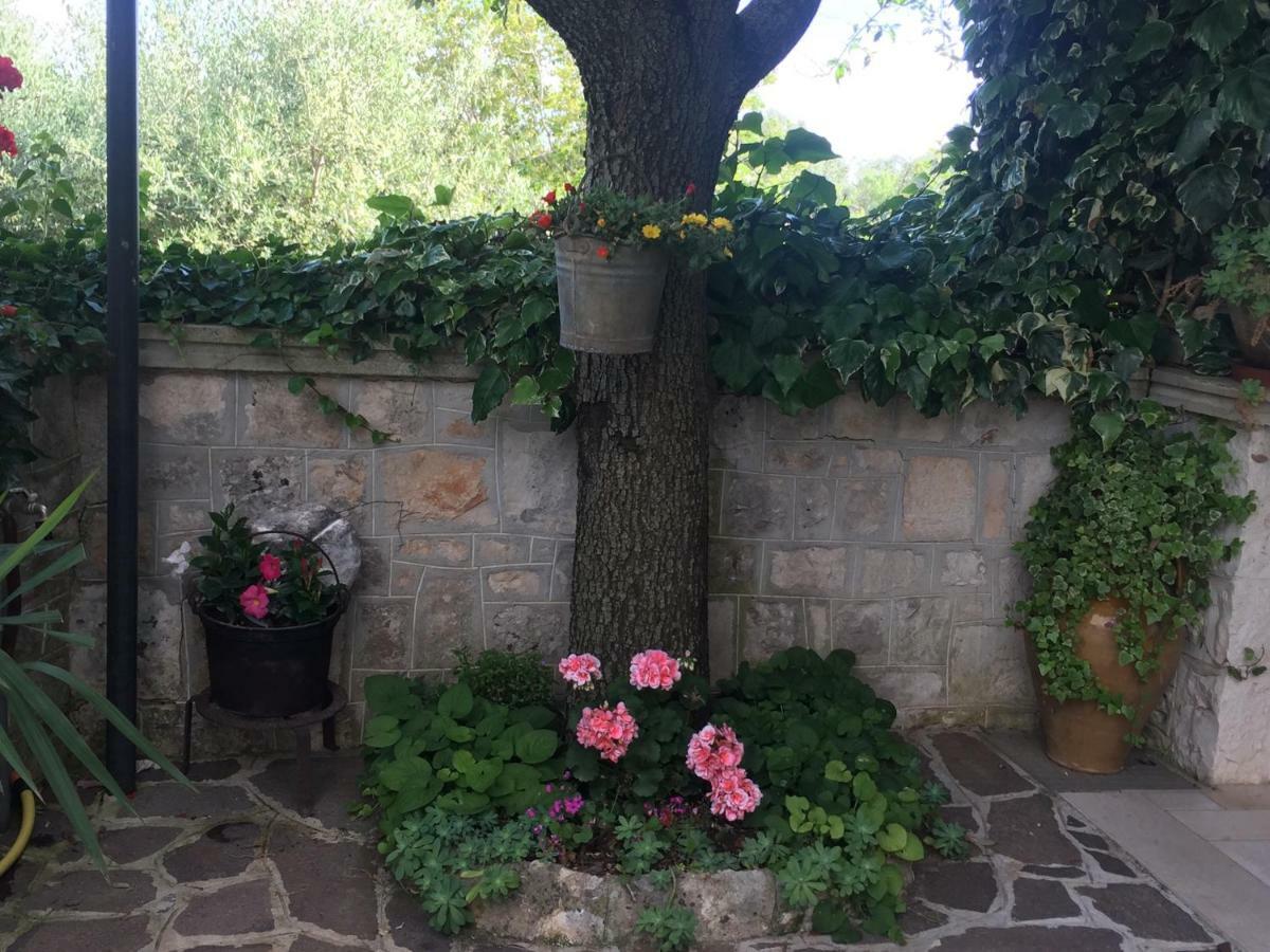 Il Trullo Di Nonno Angelo San Marco Locorotondo Exterior foto