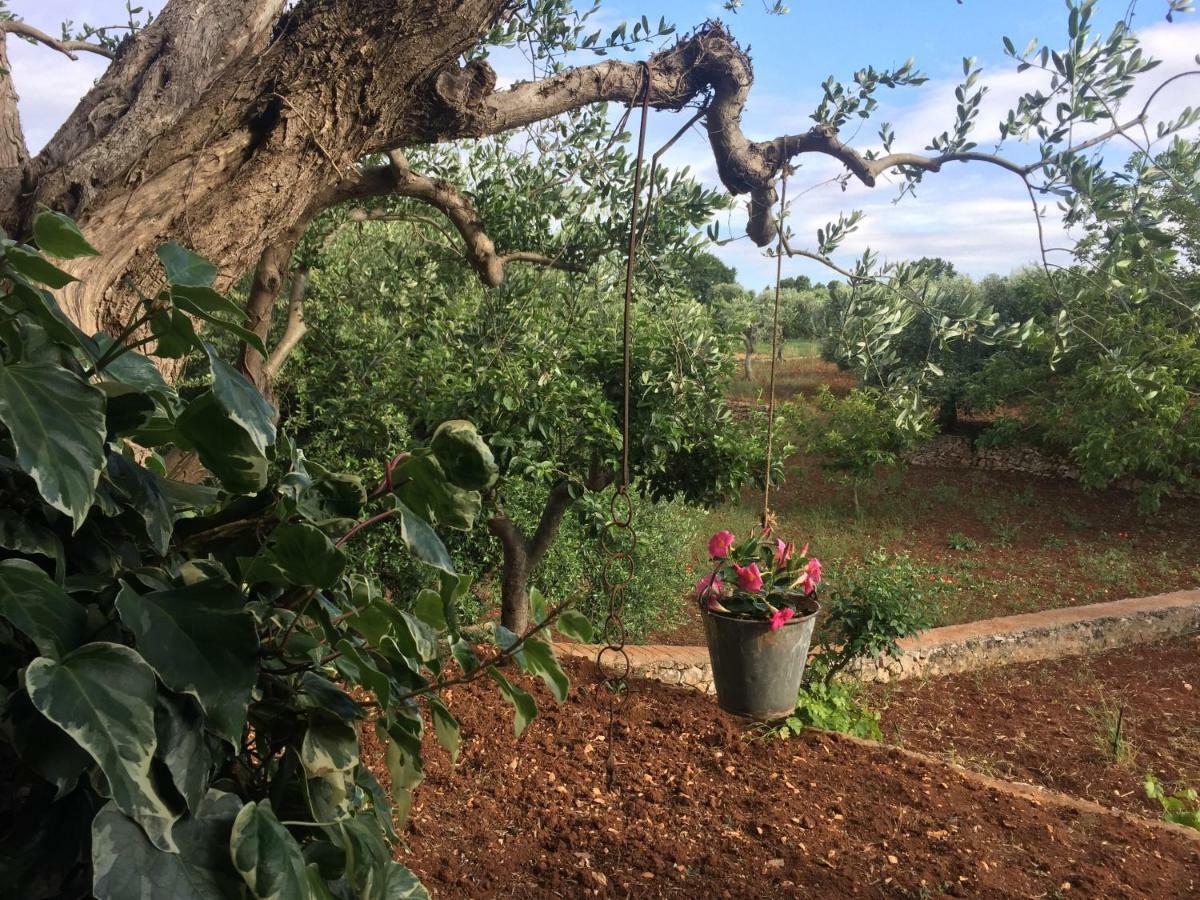 Il Trullo Di Nonno Angelo San Marco Locorotondo Exterior foto